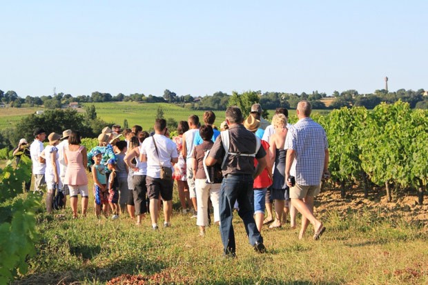 Blaye Côtes de Bordeaux - Nos festibalades