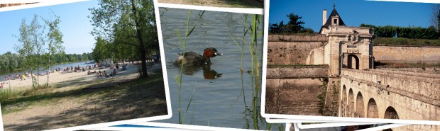 Blaye Côtes de Bordeaux - A découvrir aussi