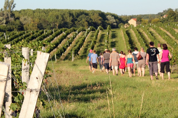 Blaye Côtes de Bordeaux - Nos activites oenotouristiques