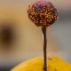 Pop Cakes