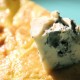 Fourme d’Ambert et truffe noire de Brantôme